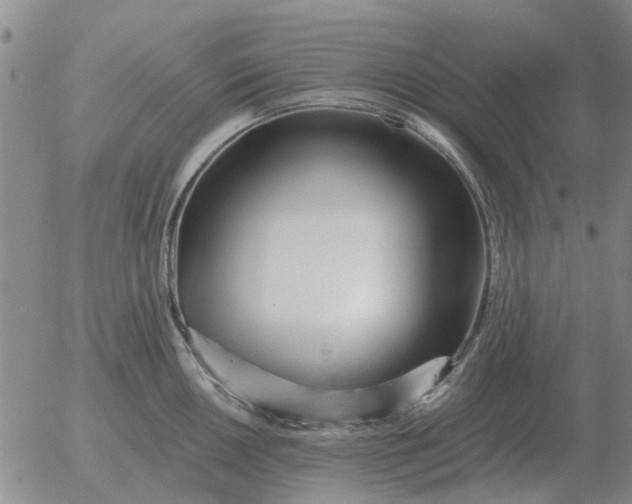 X0000055521050200509022119