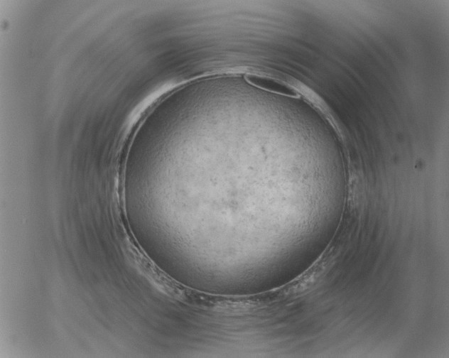 X0000055521051200509022119