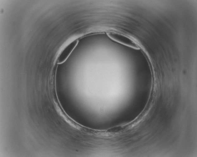 X0000055521053200509022119