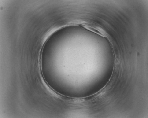 X0000055521055200509022119