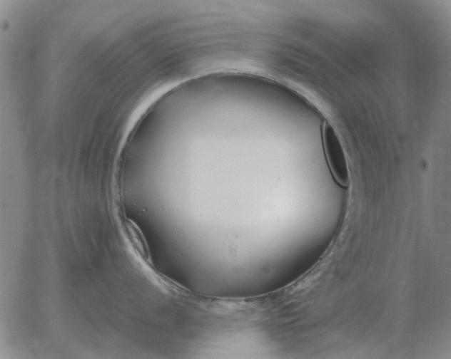 X0000055521056200509022119