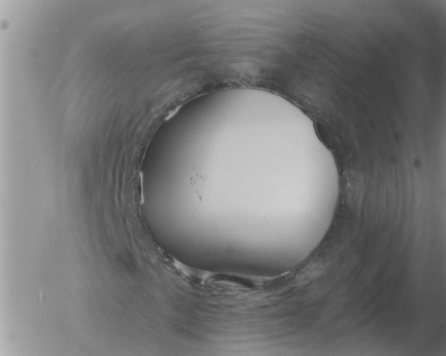 X0000055521057200509022118