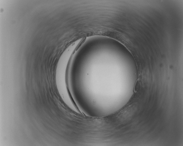 X0000055521058200509022118