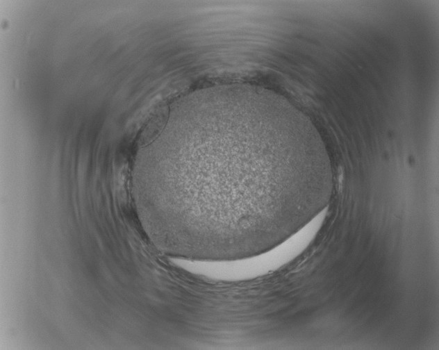 X0000055521059200509022118