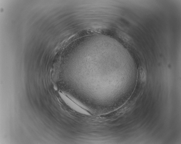 X0000055521060200509022118