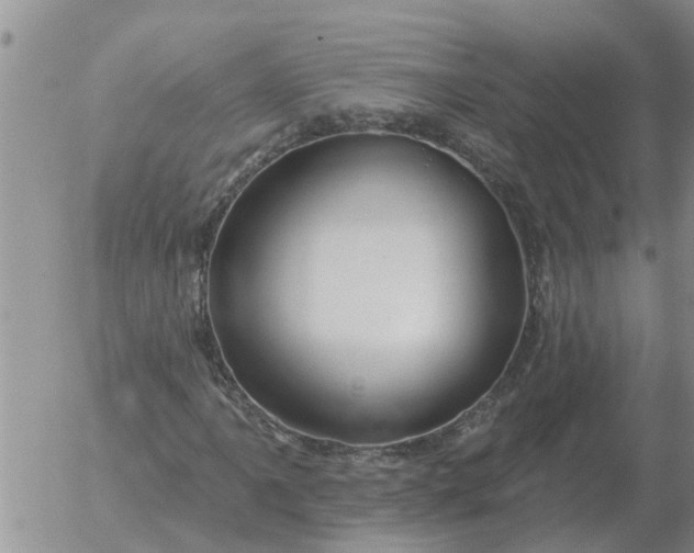 X0000055521061200509022118