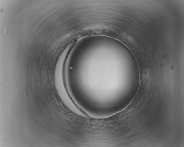 X0000055521062200509022118