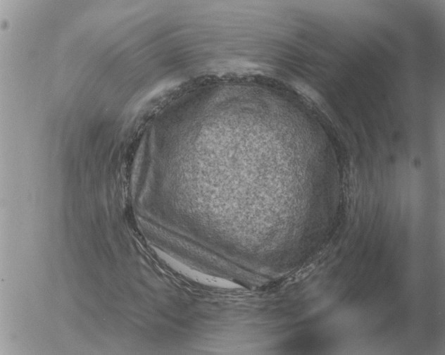 X0000055521063200509022118