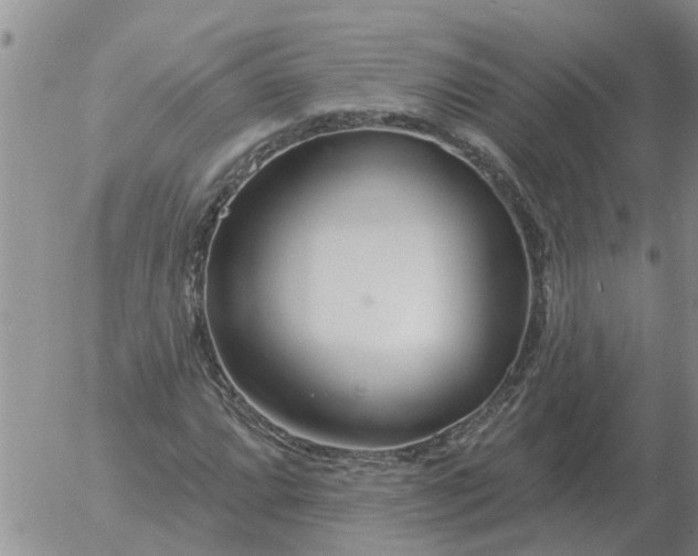 X0000055521064200509022118