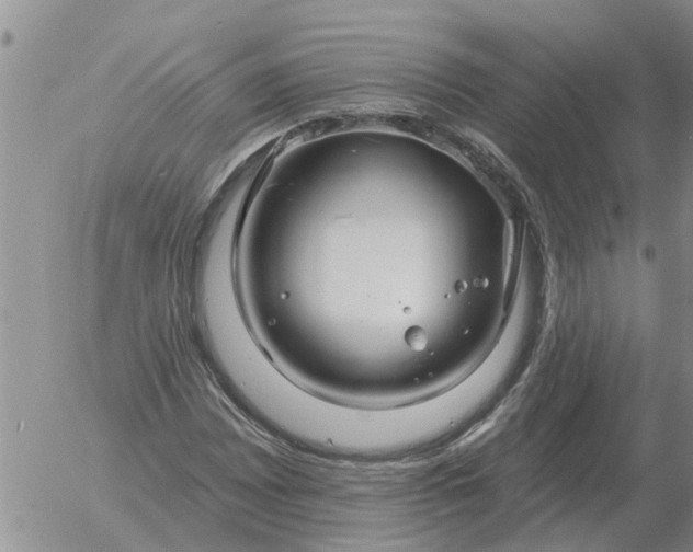 X0000055521065200509022118