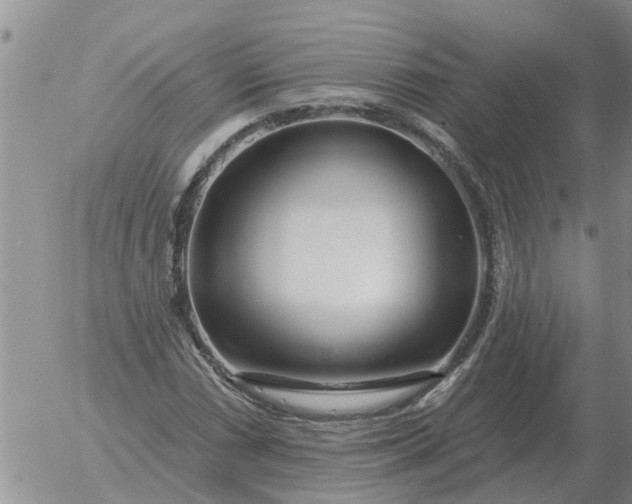 X0000055521066200509022118