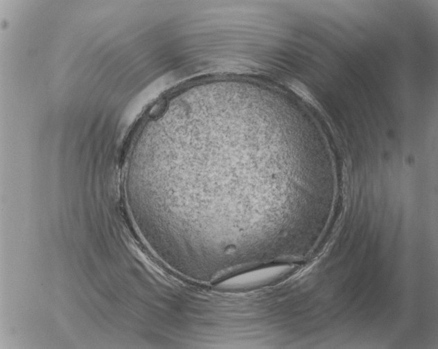 X0000055521067200509022118