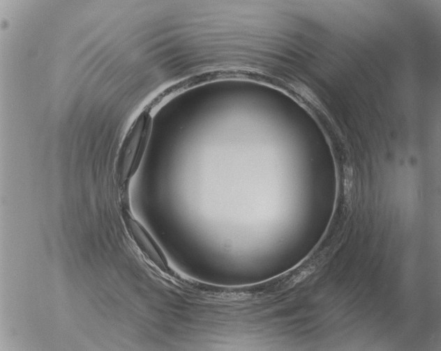 X0000055521068200509022118