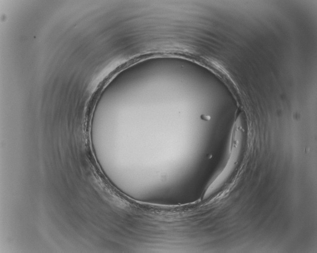 X0000055521071200509022118