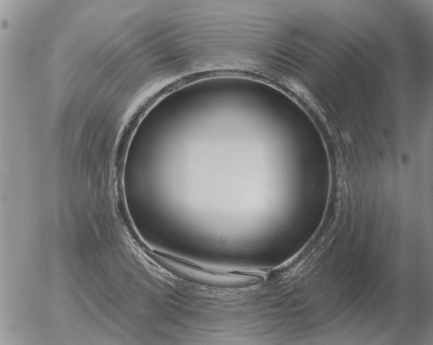 X0000055521072200509022118