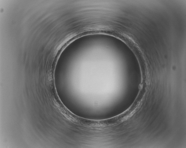 X0000055521073200509022118