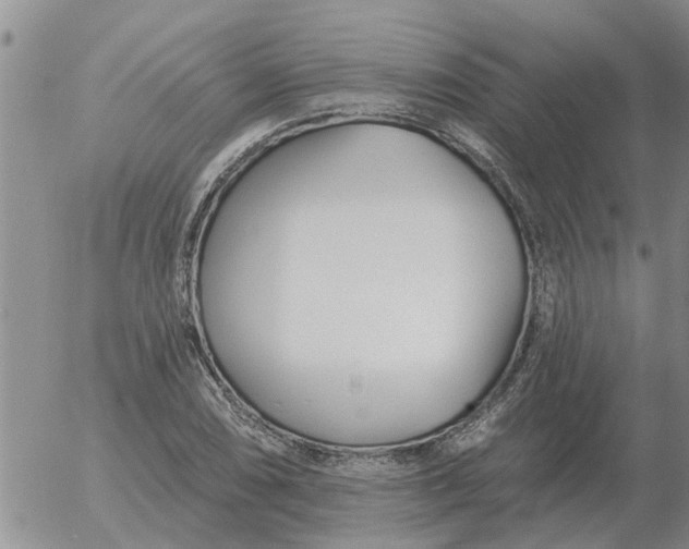 X0000055521074200509022118