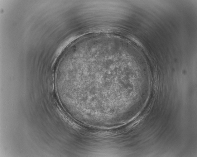 X0000055521075200509022118