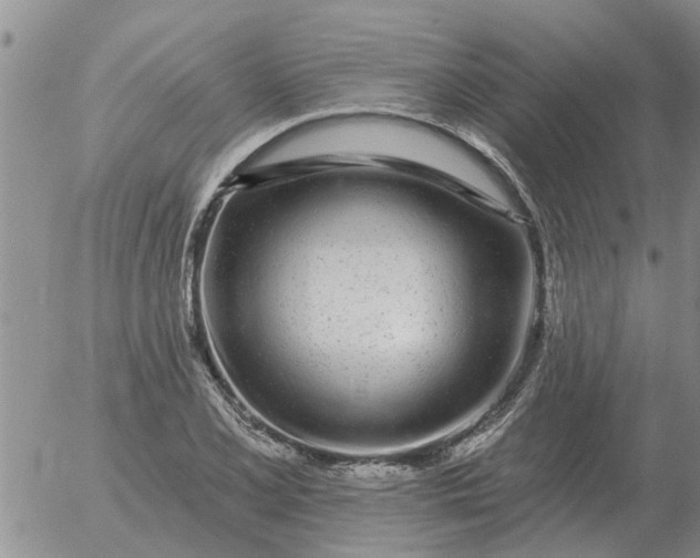 X0000055521077200509022118