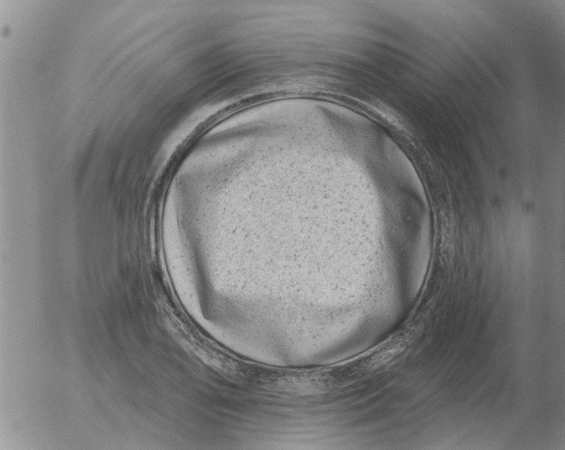 X0000055521078200509022118