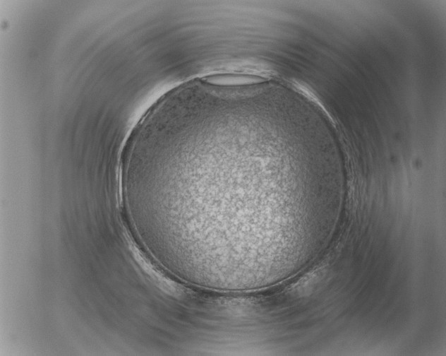 X0000055521079200509022117