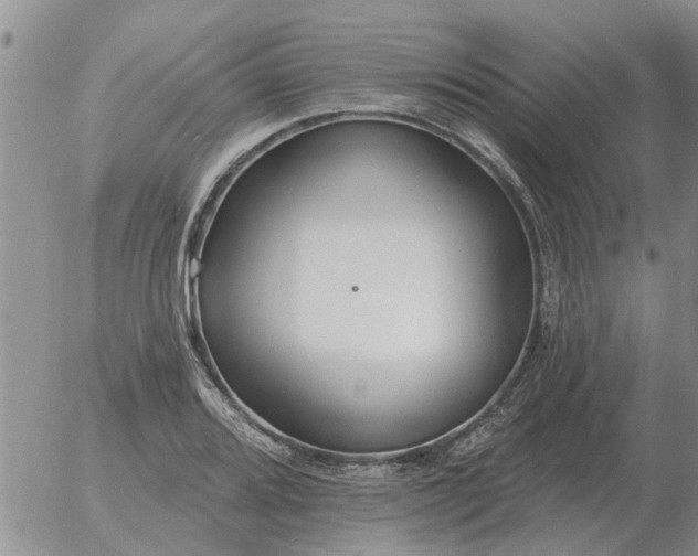 X0000055521080200509022117