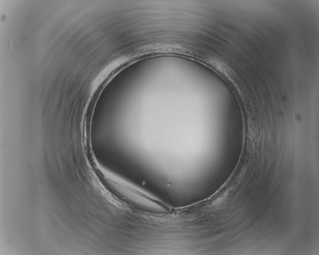 X0000055521082200509022117