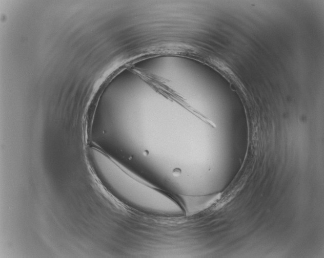 X0000055521083200509022117