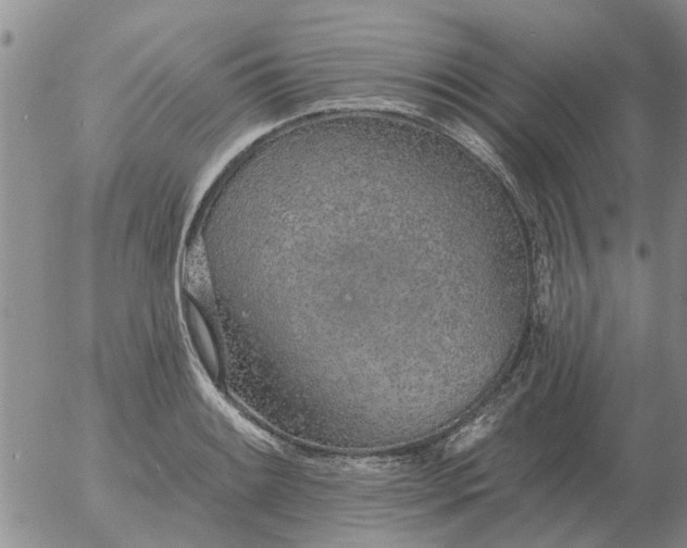 X0000055521084200509022117