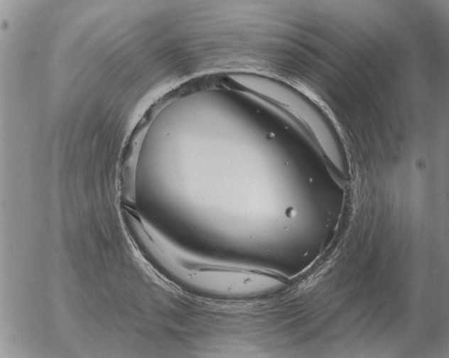 X0000055521085200509022117