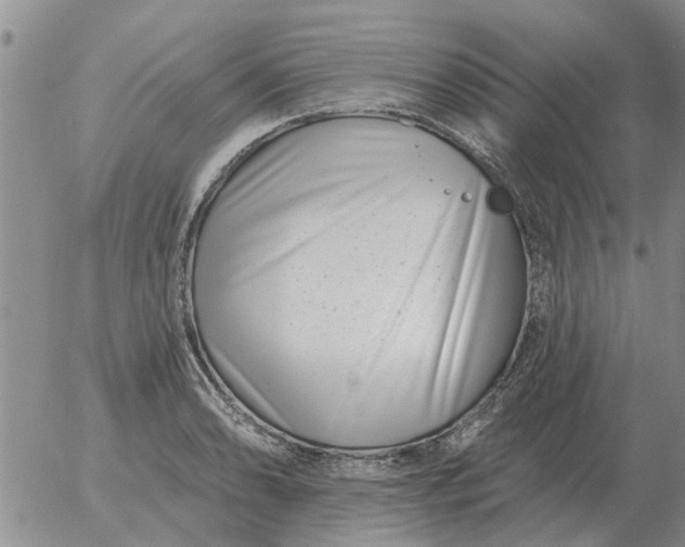 X0000055521086200509022117