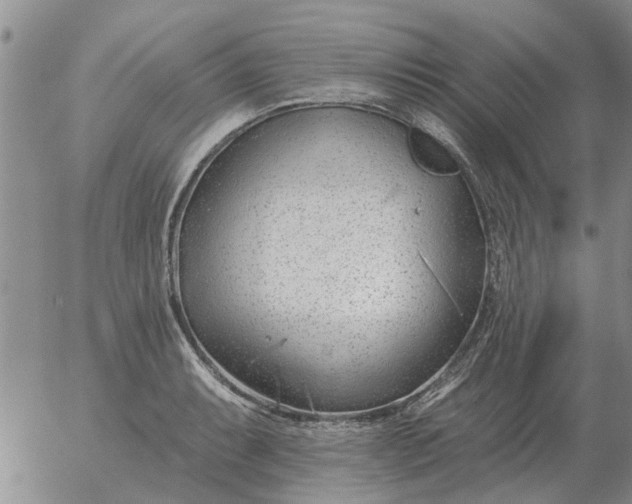 X0000055521087200509022117