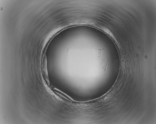 X0000055521088200509022117