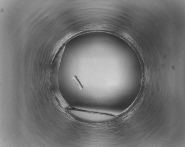 X0000055521089200509022117