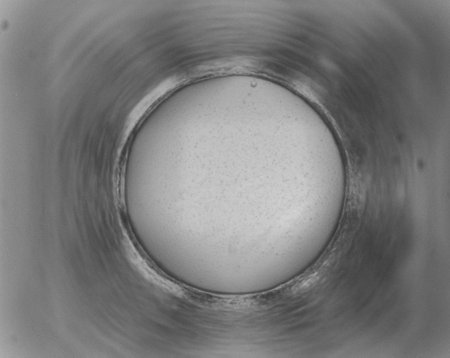 X0000055521090200509022117