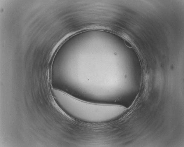 X0000055521092200509022117