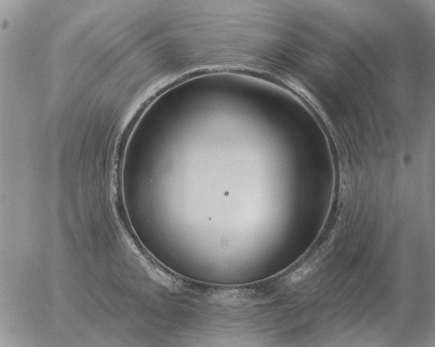 X0000055521093200509022117