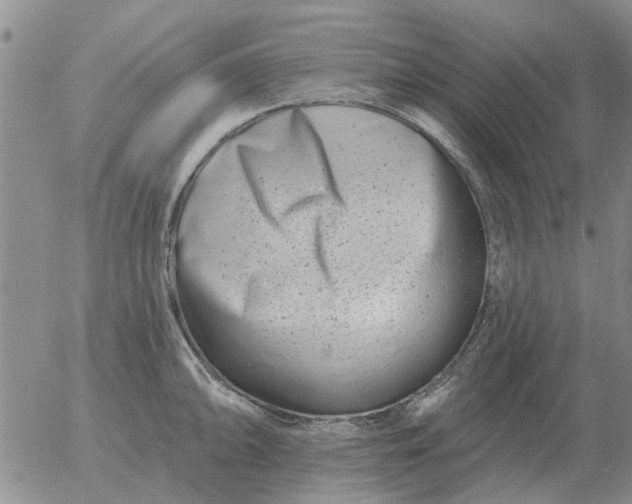 X0000055521094200509022117