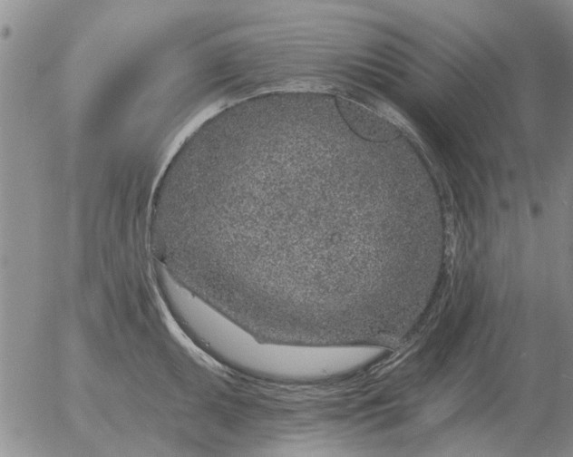 X0000055521095200509022117