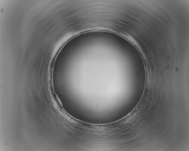 X0000055521096200509022117