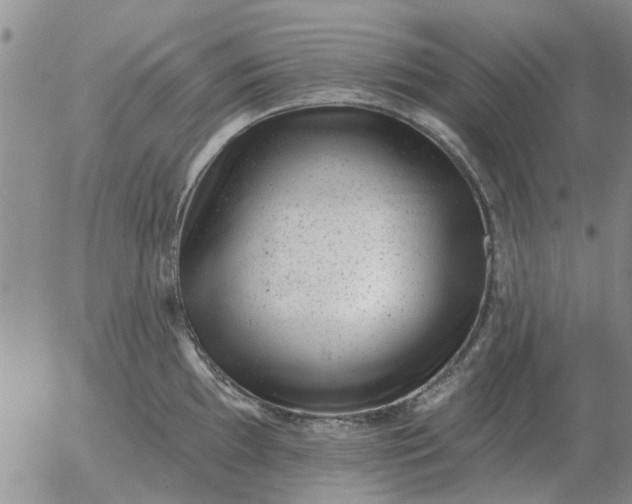 X0000055521097200509022117