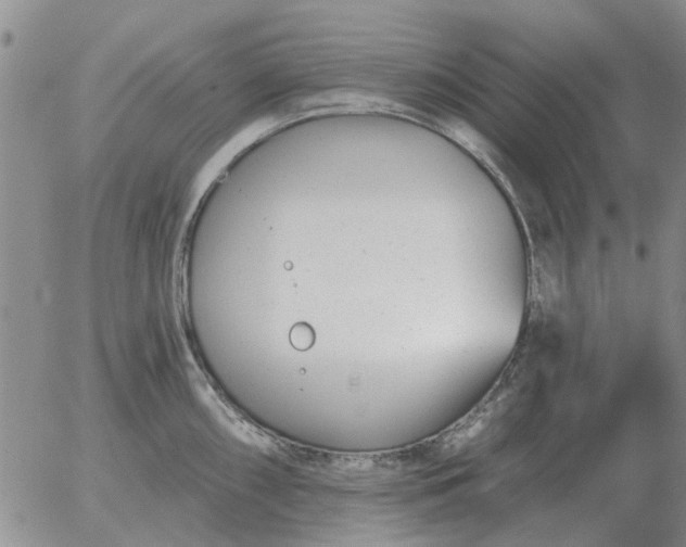 X0000055521098200509022117