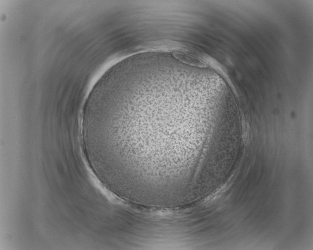 X0000055521099200509022117