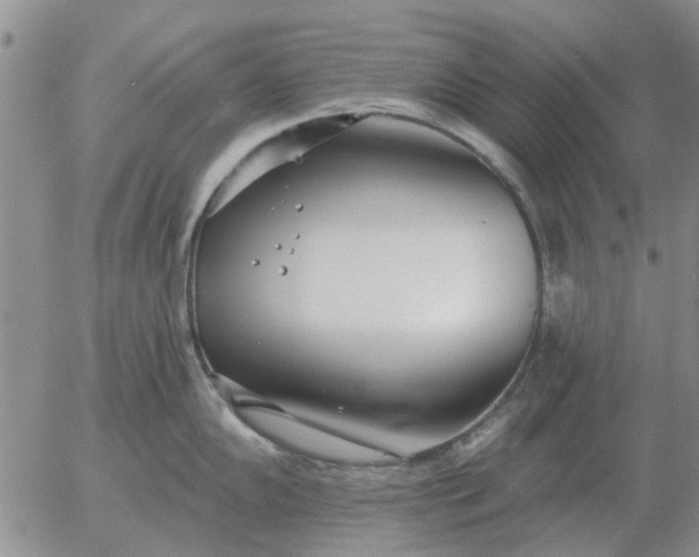 X0000055521102200509022117