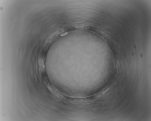 X0000055521106200509022116