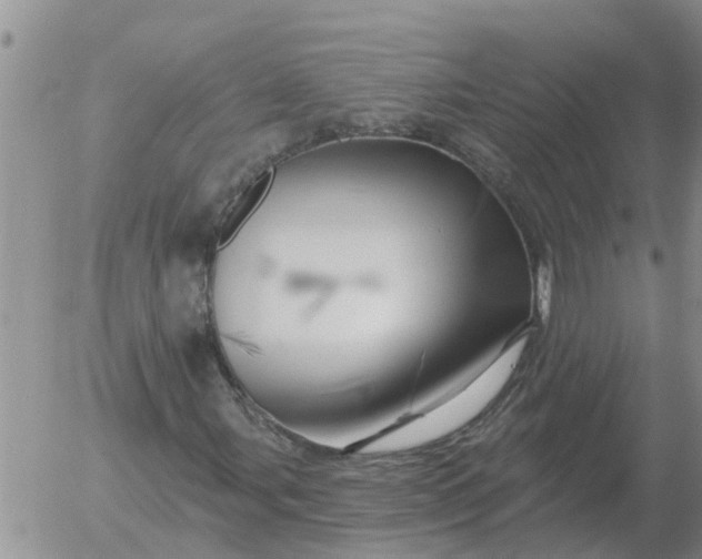 X0000055521107200509022116