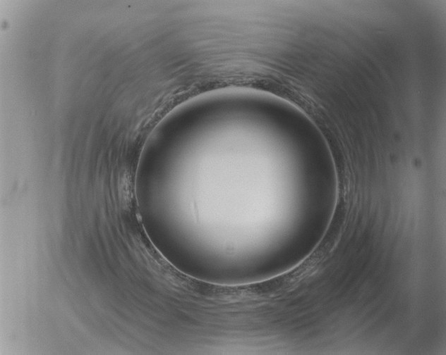 X0000055521108200509022116