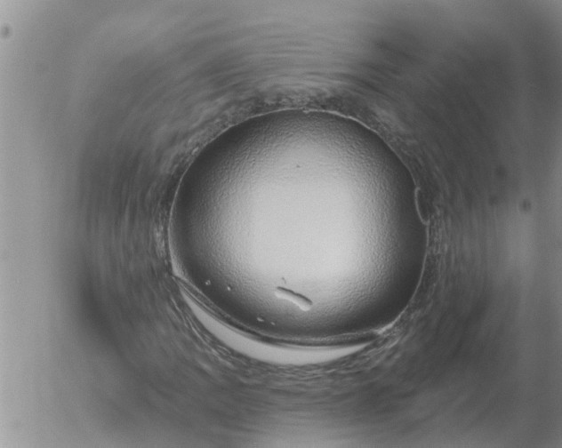 X0000055521109200509022116