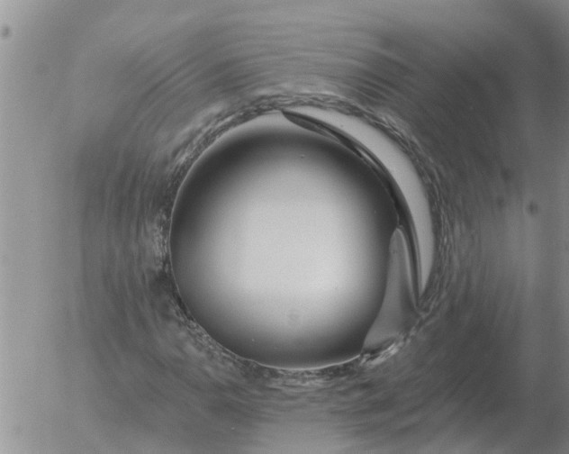 X0000055521110200509022116