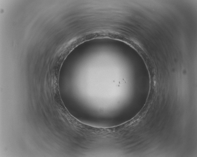 X0000055521111200509022116